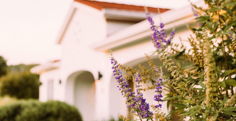 slideshow homepage 3